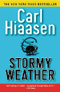 Stormy Weather (Skink #3)