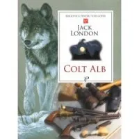 Colt Alb