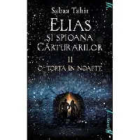 Elias și Spioana Cărturarilor II: O Tortă în Noapte
