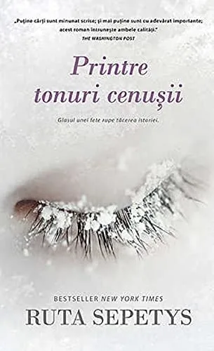 Printre tonuri cenușii