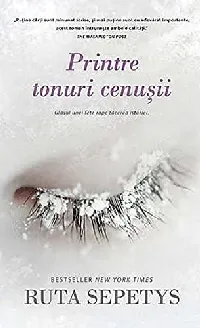 Printre tonuri cenușii