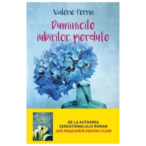 Duminicile iubirilor pierdute