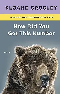 How Did You Get This Number: Essays