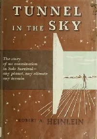 Tunnel in the sky