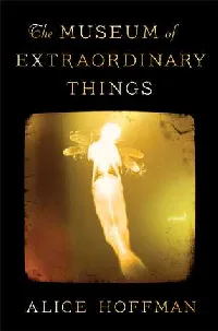 The Museum of Extraordinary Things