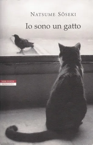 Io sono un gatto cover