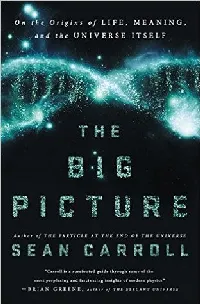 The Big Picture: On the Origins of Life, Meaning, and the Universe Itself