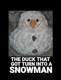 The Duck that Turn into a Snowman