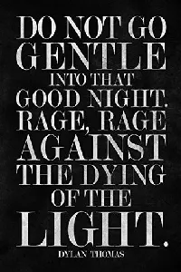 Do Not Go Gentle Into That Good Night