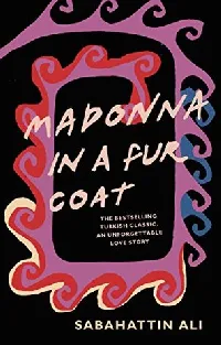 Madonna in a Fur Coat