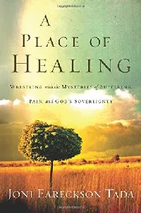 A Place of Healing: Wrestling with the Mysteries of Suffering, Pain, and God's Sovereignty