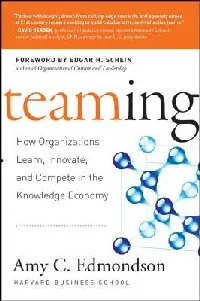 Teaming: How Organizations Learn, Innovate, and Compete in the Knowledge Economy