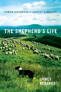 The Shepherd's Life: A People's History of the Lake District