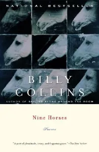 Nine Horses
