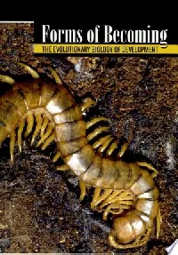 Forms of Becoming