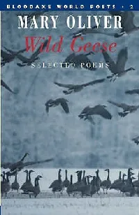 Wild Geese