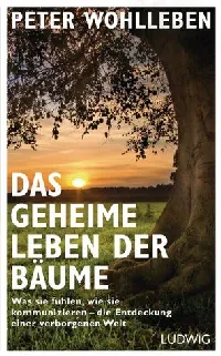 Das geheime Leben der Bäume: Was sie fühlen, wie sie kommunizieren - die Entdeckung einer verborgenen Welt