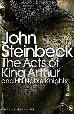 The Acts of King Arthur and His Noble Knights cover