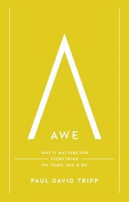 Awe: Why It Matters for Everything We Think, Say, and Do