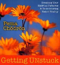 Getting Unstuck: Breaking Your Habitual Patterns & Encountering Naked Reality