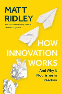 How Innovation Works: Serendipity, Energy and the Saving of Time