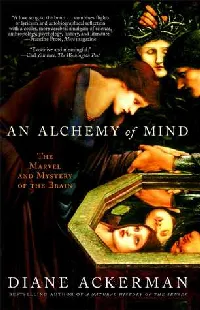 An Alchemy of Mind: The Marvel and Mystery of the Brain