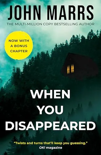 When You Disappeared cover