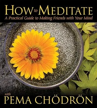 How to Meditate: A Practical Guide to Making Friends with Your Mind cover