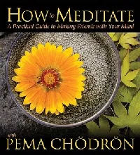 How to Meditate: A Practical Guide to Making Friends with Your Mind