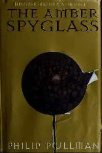 The Amber Spyglass