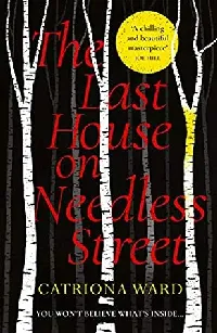 The Last House on Needless Street