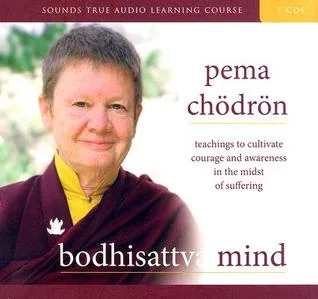 Bodhisattva Mind: Teachings to Cultivate Courage and Awareness in the Midst of Suffering cover