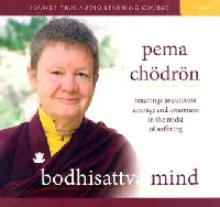 Bodhisattva Mind: Teachings to Cultivate Courage and Awareness in the Midst of Suffering