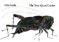 The very quiet cricket