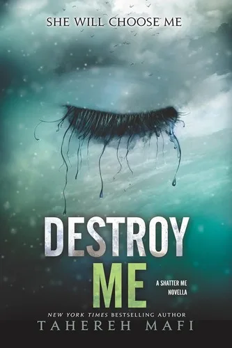 Destroy Me cover