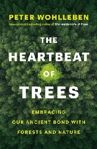 The Heartbeat of Trees: Embracing Our Ancient Bond with Forests and Nature