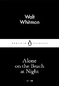 Alone on the Beach at Night