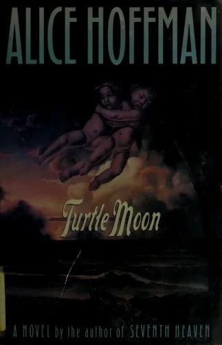 Turtle Moon cover