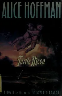 Turtle Moon