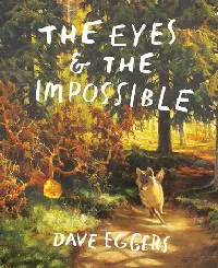 The Eyes & the Impossible