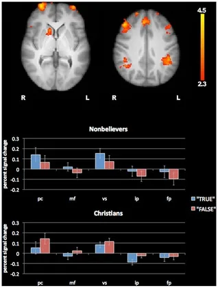 The Neural Correlates of Religious and Nonreligious Belief cover