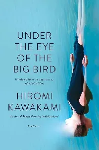 Under the Eye of the Big Bird