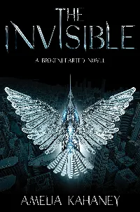 The Invisible