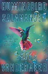 Hummingbird Salamander