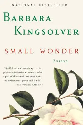 Small Wonder cover