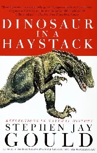 Dinosaur in a Haystack