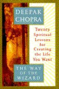The Way of the Wizard: Twenty Spiritual Lessons for Creating the Life You Want