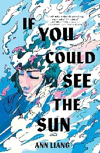 If You Could See the Sun