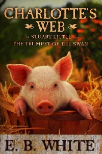 Novels (Charlotte's Web / Stuart Little / Trumpet of the Swan)