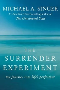 The Surrender Experiment: My Journey into Life's Perfection